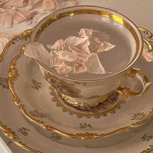 Meet your Posher, Carina